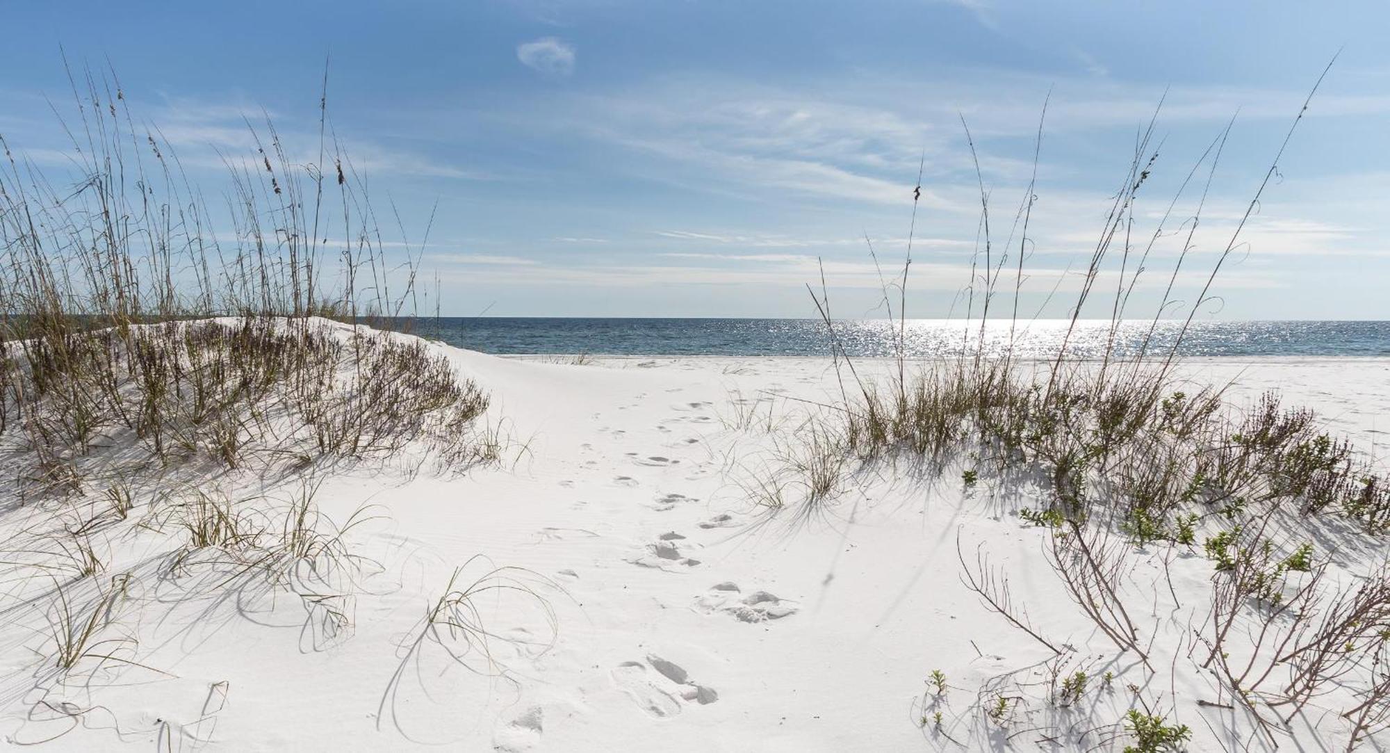 Nautilus 2408 Gulf View 2 Bedroom 4Th Floor Free Beach Service Fort Walton Beach Kültér fotó