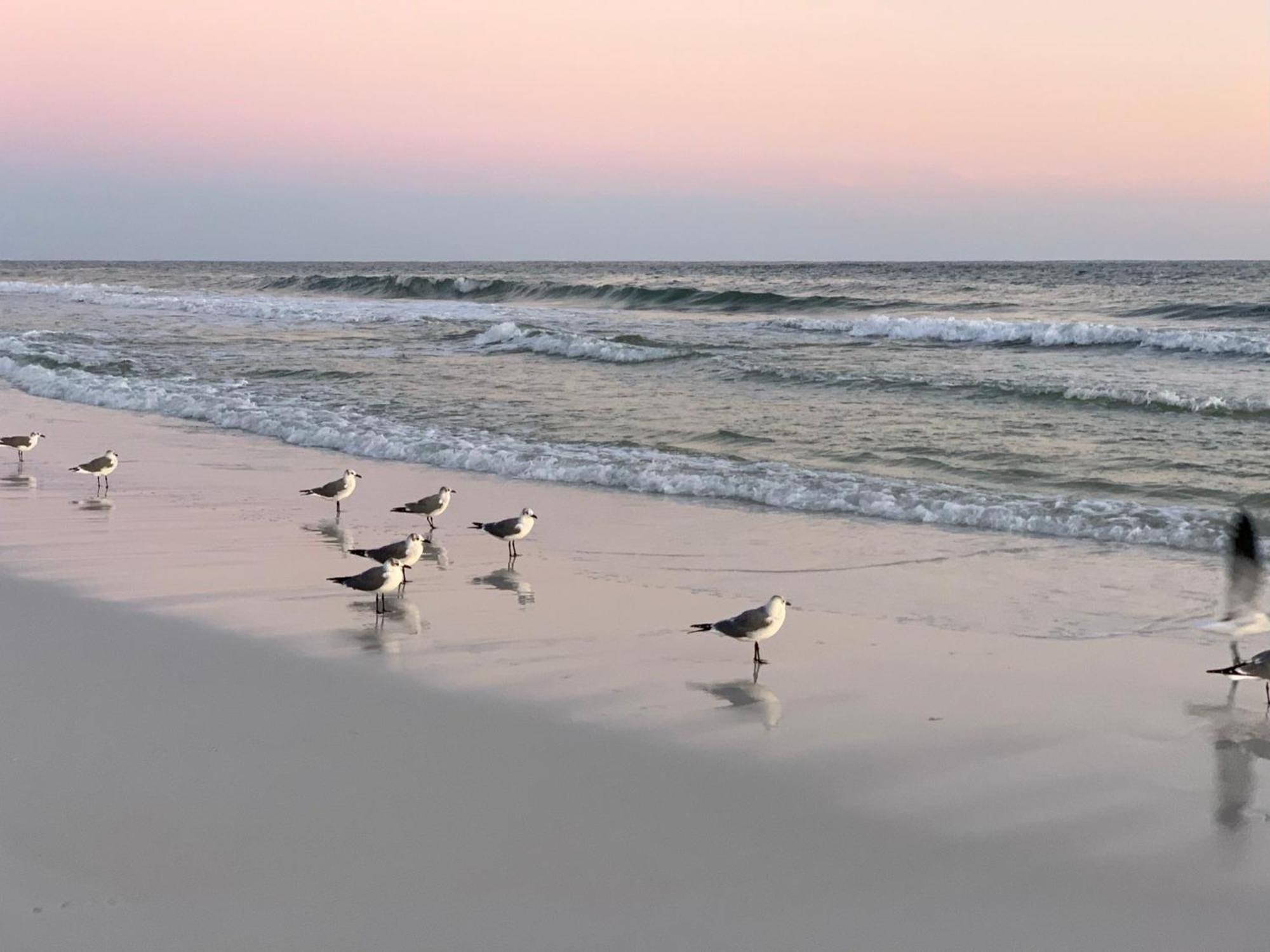 Nautilus 2408 Gulf View 2 Bedroom 4Th Floor Free Beach Service Fort Walton Beach Kültér fotó