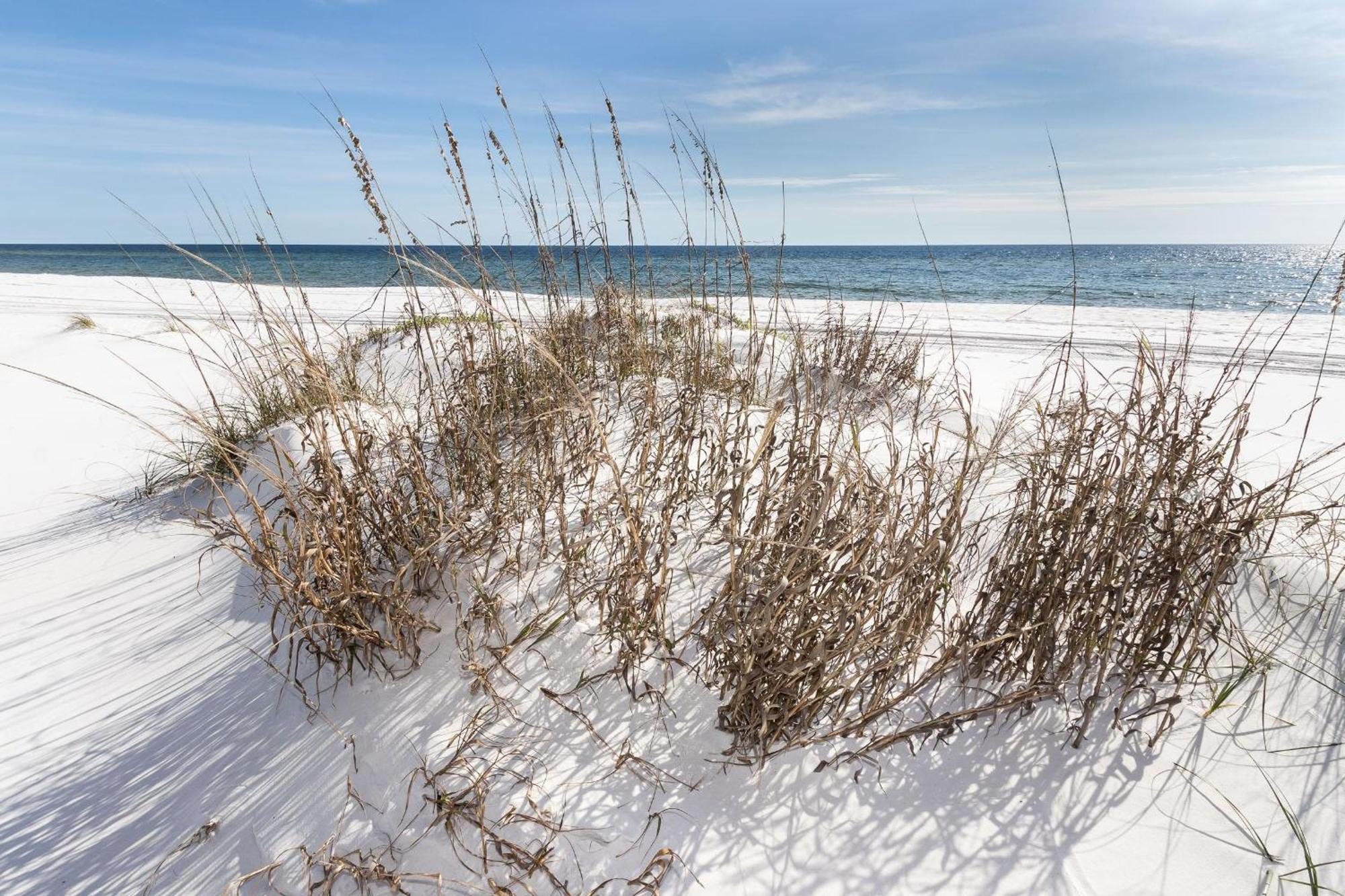 Nautilus 2408 Gulf View 2 Bedroom 4Th Floor Free Beach Service Fort Walton Beach Kültér fotó